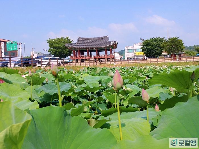 매력 넘치는 전북 정읍 (13).jpg