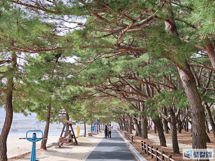 경남 하동 가볼만한곳 송림공원의 2km 소나무길 여행 (11).jpg
