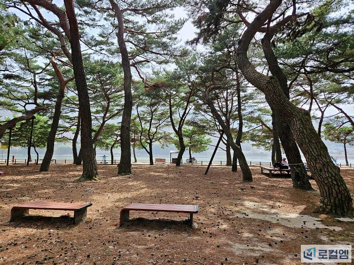 경남 하동 가볼만한곳 송림공원의 2km 소나무길 여행 (8).jpg