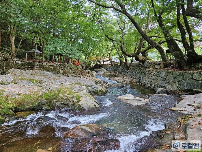 광주근교계곡 순천 용오름 계곡 (2).jpg