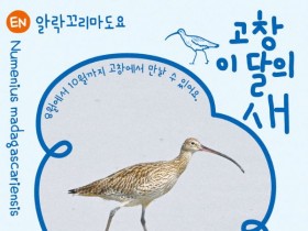 8월 '고창갯벌 이달의 새'로 멸종위기종 알락꼬리마도요 선정