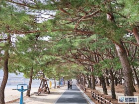 [로컬여행] 하동송림공원 2km 산책로에서 찾은 자연의 여행 쉼표