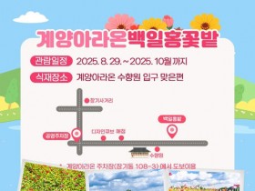 인천 계양아라온 "2천만 송이 백일홍 꽃밭으로 초대합니다"