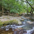 [로컬여행] 광주근교계곡 추천, 순천 용오름 계곡의 숨은 매력