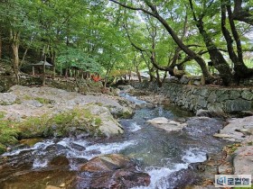 [로컬여행] 광주근교계곡 추천, 순천 용오름 계곡의 숨은 매력