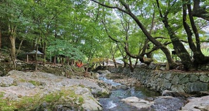 [로컬여행] 광주근교계곡 추천, 순천 용오름 계곡의 숨은 매력