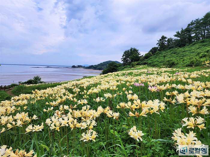 부안 변산마실길 붉노랑상사화 여행 코스 (2).jpg