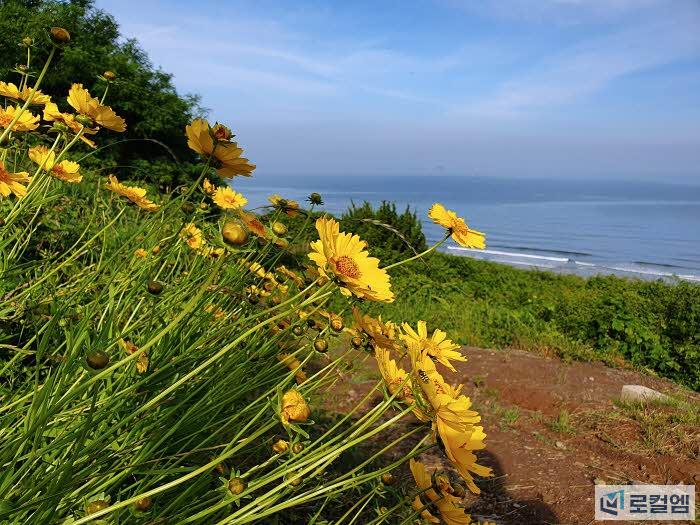 부안 변산마실길 붉노랑상사화 여행 코스 (4).jpg