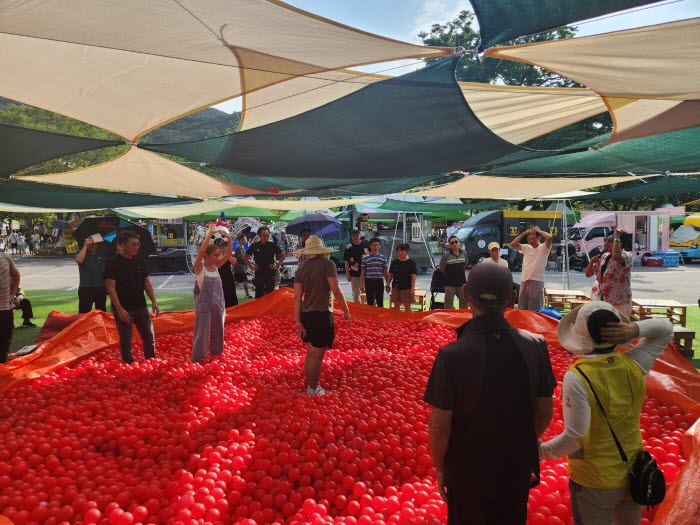 영광 불갑산 상사화 축제 (1).jpg