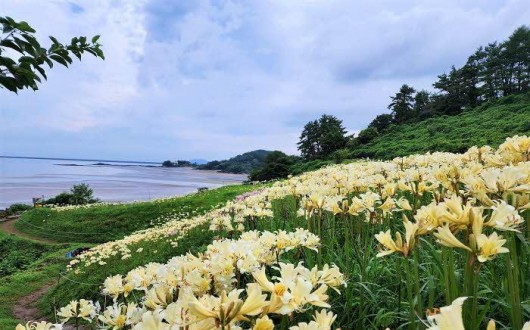 [로컬여행] 붉노랑 상사화 절정, 부안 변산마실길 따라 가을이 열렸다