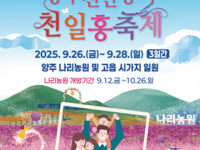 가수 알리, 롤링쿼츠와 함께, '양주 천만송이 천일홍축제' 개최