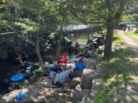 영광 우산공원·안골계곡… 올여름 인기 만발!