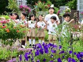 대구 봉무공원 곤충 페스티벌 20일 개최…“나비와 곤충의 향연”