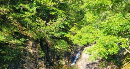 담양 가마골생태공원, 10월 1일부터 무료 개방