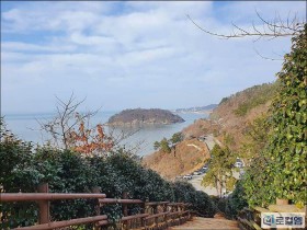 [로컬여행] 영광의 가을, 백수해안도로와 불갑사 꽃무릇에서 찾은 즐거움