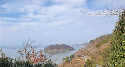 [로컬여행] 영광의 가을, 백수해안도로와 불갑사 꽃무릇에서 찾은 즐거움