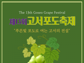 담양군, ‘제13회 고서포도축제’ 26일 개막…증암천 생태공원 일원