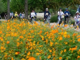 송가인부터 K-POP까지…거창한마당대축제 25일부터 화려한 무대