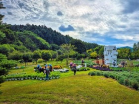 추석 황금연휴, 국립수목원 무료 개방…“자연 속 힐링캉스”