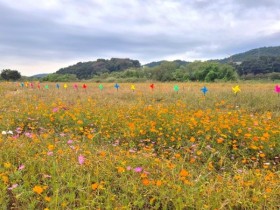 혜은이·남궁옥분 출연, '여주 대신섬 가을사랑 축제' 27~28일 개최