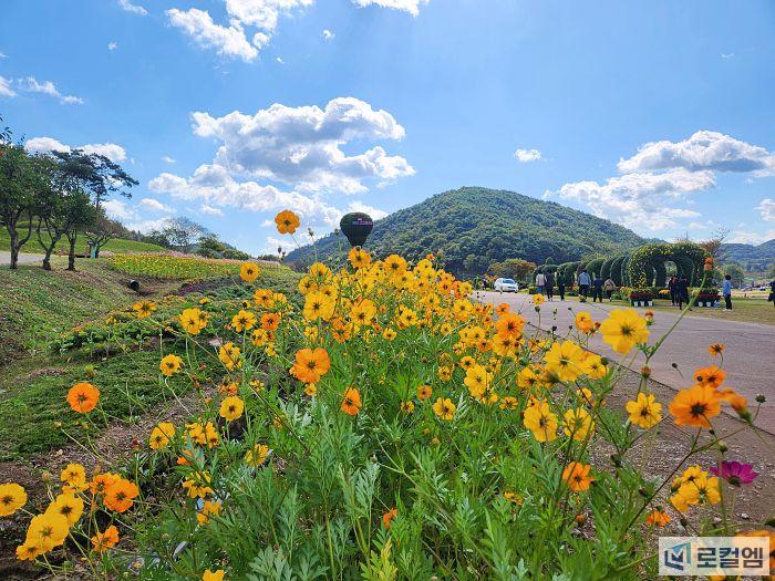 전남 화순가볼만한곳 고인돌 가을꽃 축제 초대가수 공연 라인업과 셔틀버스 먹거리 여행 (12).jpg