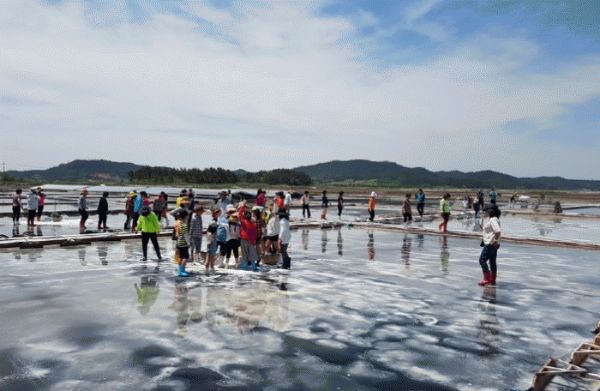 신안 보물섬 함초축제.jpg