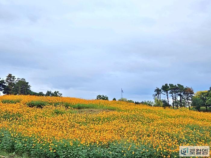 전남 곡성가볼만한곳 동화정원 가는길과 주차장 코스모스구경 여행 안내 (2).jpg