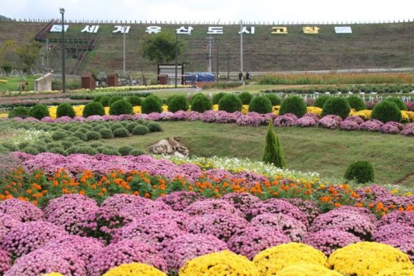 고창 꽃정원 행사.jpg