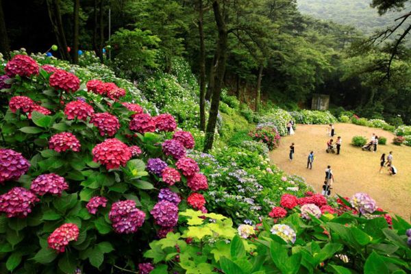 산림청 올해의 모범숲.jpg