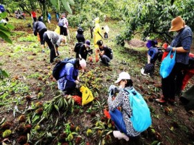 5000명 규모 과천 밤줍기 행사…가족 맞춤 부대 프로그램 풍성