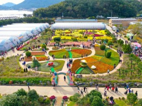 국화 향기 따라 가을여행, 제19회 거제섬꽃축제 11월 1일 개막