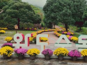 전남 완도수목원서 그린숲 페스티벌 개최…11월2일까지