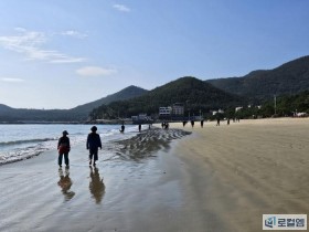 '맨발 걷기 치유길 1호 선포', 완도 신지명사십리 명소 떠올라