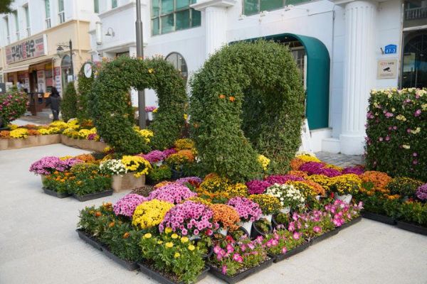 아산시 국화전시회.jpg