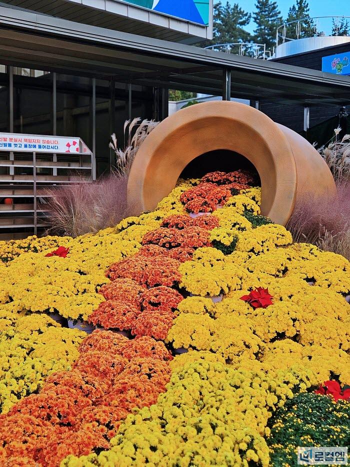 영암월출산국화축제 2025 (1).jpg