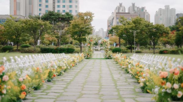 전북도청 잔디광장.jpg