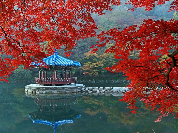 정읍 내장산 단풍 (1).jpg