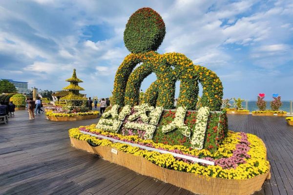 삼척 국화전시회.jpg