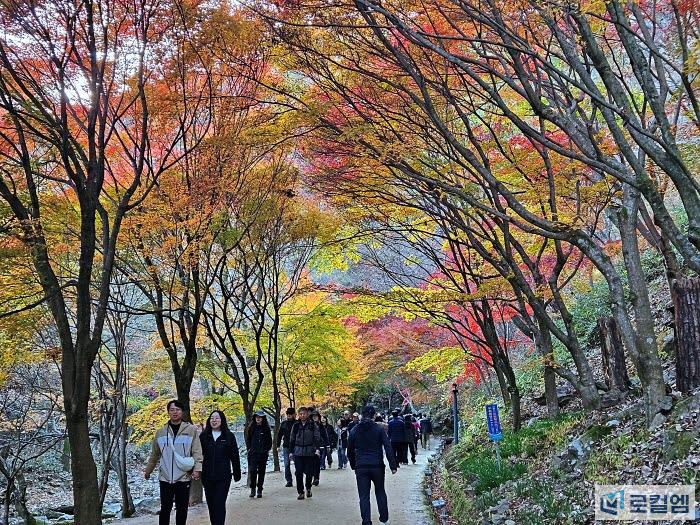 순창가볼만한곳 강천산 단풍 (3).jpg