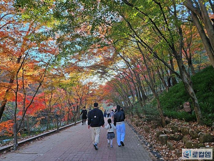 순창가볼만한곳 강천산 단풍 (2).jpg