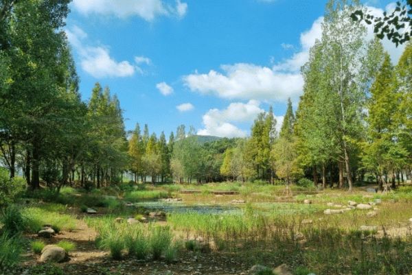 옥룡 솔밭섬.jpg