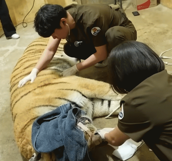 광주 우치동물원2.jpg