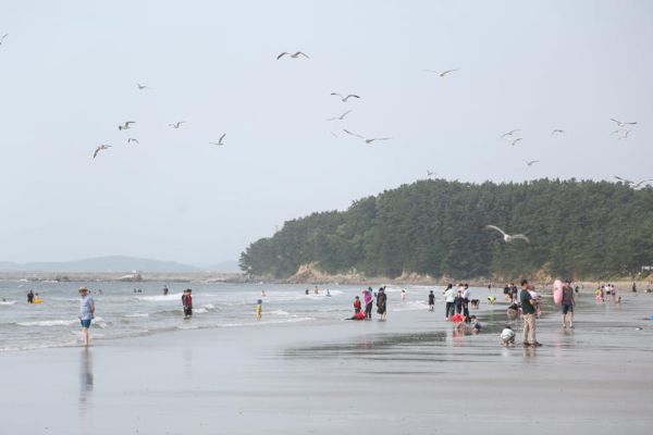 서천 춘장대해수욕장.jpg