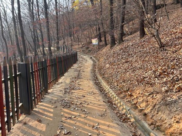 보문산 맨발길.jpg