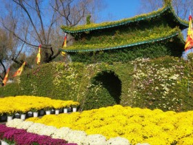 부여 궁남지서, 제22회 백제고도부여국화축제 인기몰이