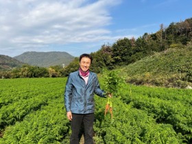전남도, 11월 친환경농산물에 '여수 당근' 선정