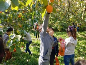 전남도, 11월 농촌체험휴양마을로 곡성 가정마을 선정
