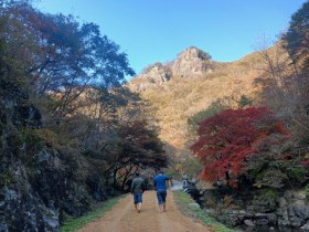 무료 개방한 담양 가마골생태공원, 단풍길 따라 걷기 좋은 흙길 산책로 조성