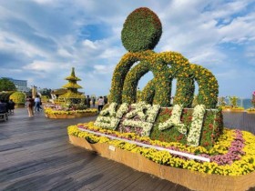 삼척 국화전시회 1주 더 연장…23일까지