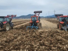 전남도, 논 깊이갈이·월동작물 재배등 왕우렁이 월동피해 최소화